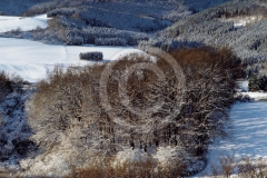 3_L_Landsch_Wint_012