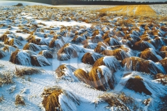 3_L_Maare_Det_Winter_003