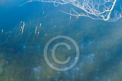 3_L_Maare_Details_038